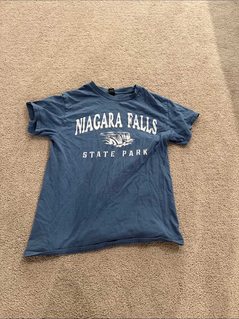 Gildan Blue Niagara Falls State Park Graphic Tee